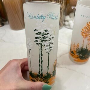 1950s “Yucca cactus” & “Century plant” 14oz Blakely frosted glasses.